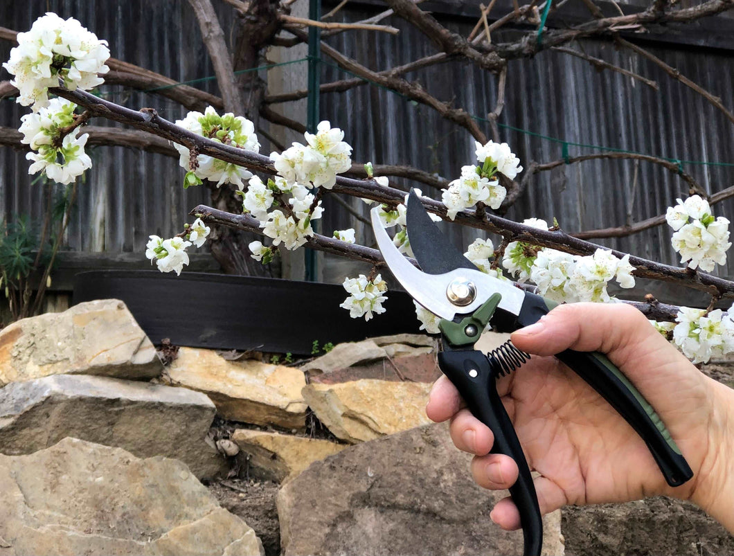 6 Piece Garden Tool Set